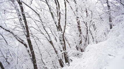 Snowy landscape of Juwangsan Mountain in Korea