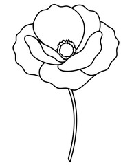 Delicate white flower blooming amidst lush green foliage in nature