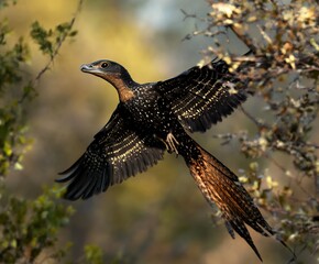A Microraptor dinosaur gliding between tree branches