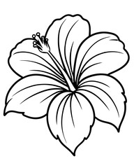 Detailed illustration of a hibiscus flower with intricate petal design