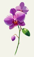 Vibrant purple orchids gracefully arranged with a soft background