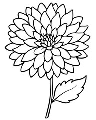 Intricate black and white illustration of a blooming flower with detail