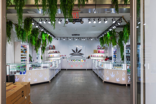 Modern cannabis dispensary interior with glass display counters, green decor and bright lighting in New York City. New York. USA.