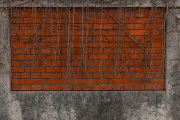 Red brick wall used as a fence or part of a house as a decoration. concrete wall with red brick insert.
