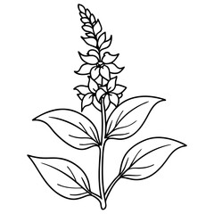Elegant floral illustration featuring a detailed flower stem and leaves