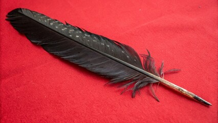 red feather on black background