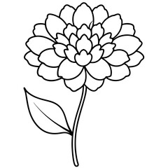Detailed illustration of a blooming lotus flower on a white background