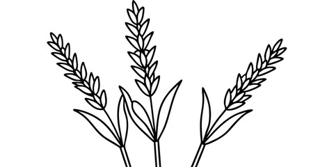 Minimalist line art of wheat stalks with white background, ideal for agriculture themes