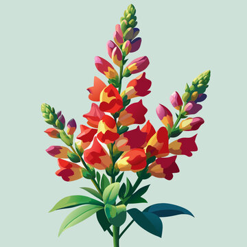 Vibrant floral illustration featuring colorful snapdragons against a soft background