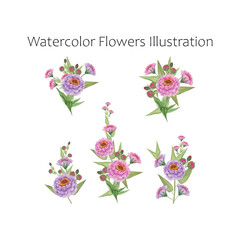 Watercolor vector art Zinnias flowers illustration bouquet set