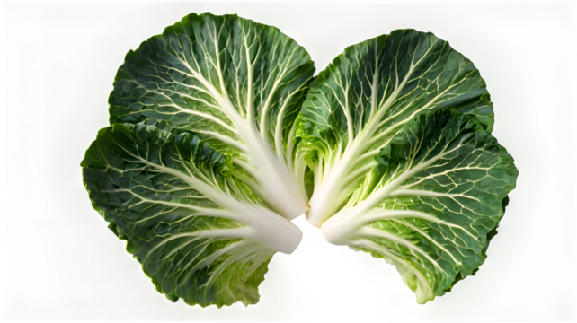 cabbage isolated on white background