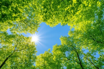 A vibrant view of sunlight streaming through lush green leaves, creating a serene atmosphere with a clear blue sky above.