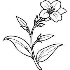 Elegant black and white floral illustration featuring a blooming flower