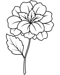 Detailed line drawing of a flower with leaves, suitable for coloring