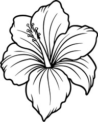 Detailed line drawing of a hibiscus flower showcasing its petals and stamen