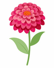 Vibrant pink flower illustration with layered petals and green stem