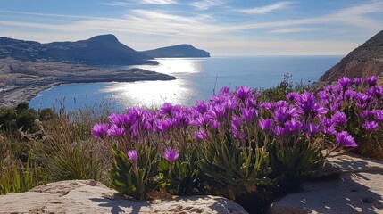 Purple flowers bloom on a rocky cliff with a stunning ocean view.