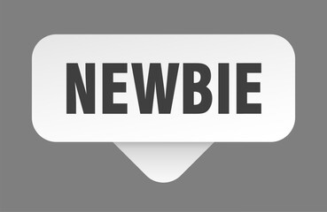 newbie sticker. newbie sign isolated on gray background