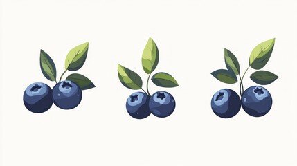 Fresh blueberries with leaves, vector illustration, food design, edible, healthy