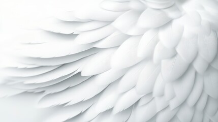 Fototapeta premium Delicate White Feather Texture Close up Soft Light, Intricate Detail