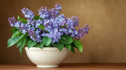 A soft romantic setting with a group of fresh lilacs in an elegant white pot on a warm brown background.