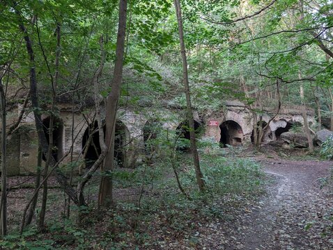 Fort Sarbinowo ukryty w lesie