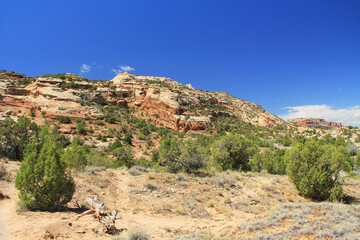 Rock Formations in Colorado National Monument Park with blue sky copy space.  Located in Fruita, Colorado, USA.