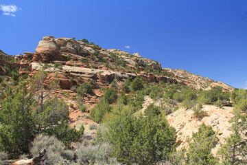 Rock Formations in Colorado National Monument Park with blue sky copy space.  Located in Fruita, Colorado, USA.