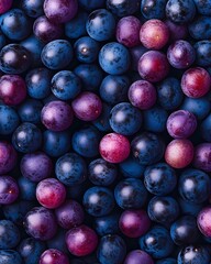 A close-up of sparkling purple and red grapes, highlighting their smooth and attractive skins. Each tiny seed inside holds a sweet freshness ready to burst with every bite