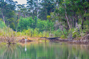 Scenery and reflections around Wonboyn River and Lake