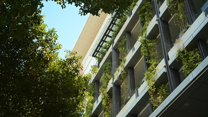 modern office building with green windows
