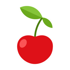 cherry vector illustration isolated on transparent background