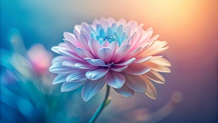 Fototapeta premium Elegant Pastel Flower Silhouette Minimalist Sketch Art Stock Photo