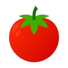 tomato vector illustration isolated on transparent background