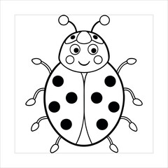 ladybug on white background