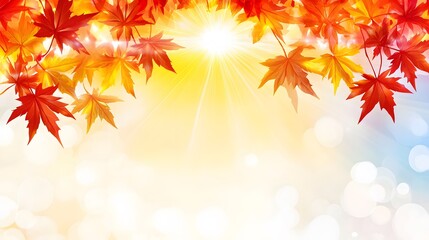 Fototapeta premium Autumn Maple Leaves Background Bright Sunlight