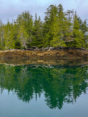 Reflection of cedar trees on a calm ocean water with an overcast skies, Dunne Inlet, British Columbia