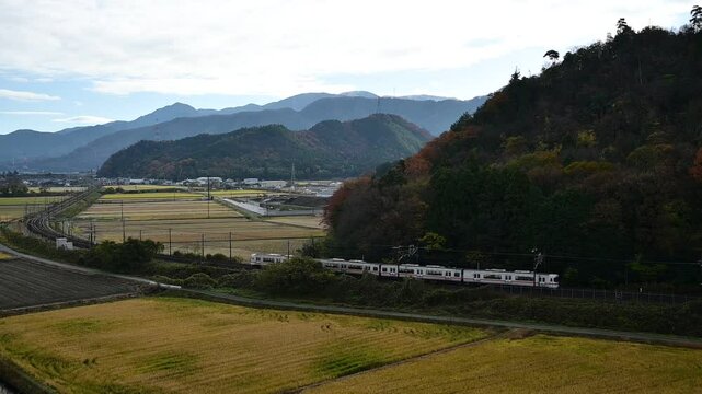 秋の近江路を走る313系普通列車 （東海道本線 米原 - 醒ヶ井, 2024年12月）