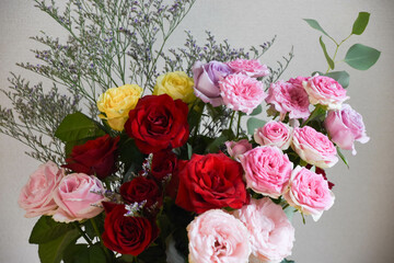 カラフルな薔薇