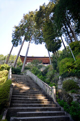 長命寺　参道に石段と本殿　滋賀県近江八幡市