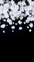 White Flowers on Black Background Illustration