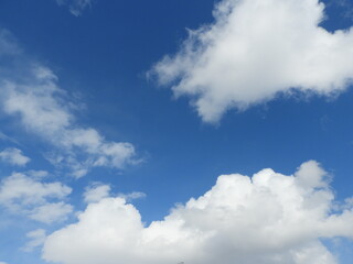 Obraz premium 青空と雲
