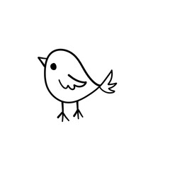 cute birds forest animal

