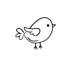 cute birds forest animal
