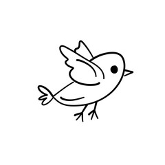 cute birds forest animal
