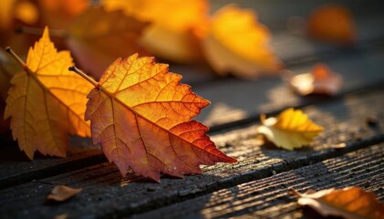 Sparkling sunlit golden leaf details against a rustic wooden background, earthy feel, wooden accents, sunlight filtering