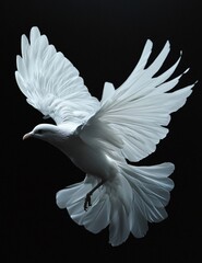Professional Image of White Birds for Animal Presentations and Wildlife Concepts