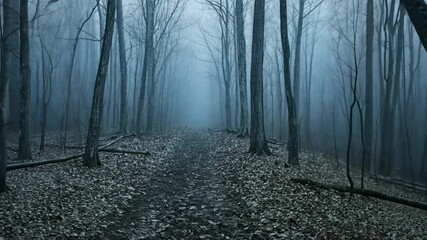 Mysterious foggy trail through a dense forest during early morning hours with leaf-covered ground - Powered by Adobe