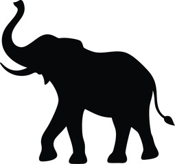 elephant isolated on white background