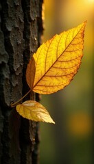 Obraz premium Shiny yellow leaf gold foil texture on tree, yellow, foil, golden